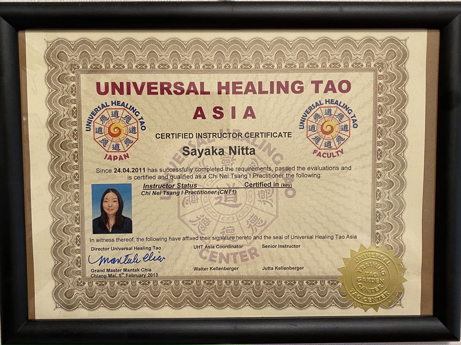 チネイザンの資格書