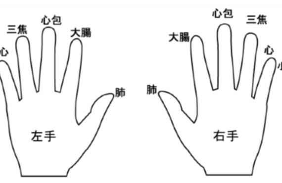 自分で整える内臓ケアはこちら