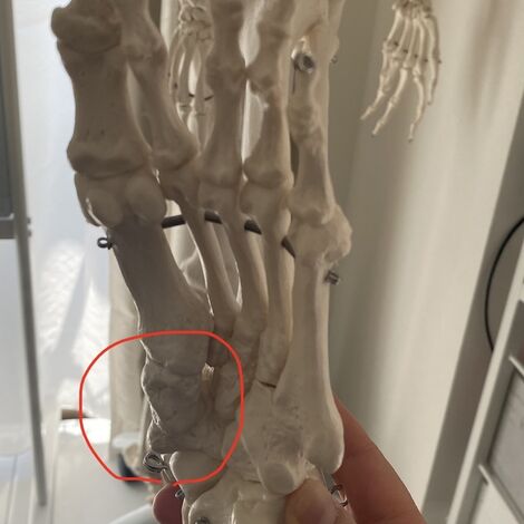 6E26F916-6519-4A6C-A7AC-1A10327B7803